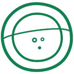 Chopp Heineken em Recife